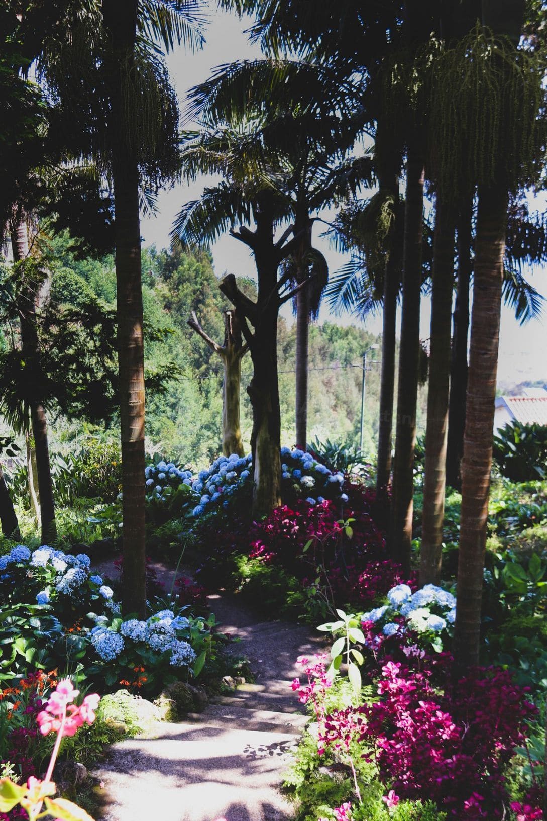 Gartenpflege und Unterhalt