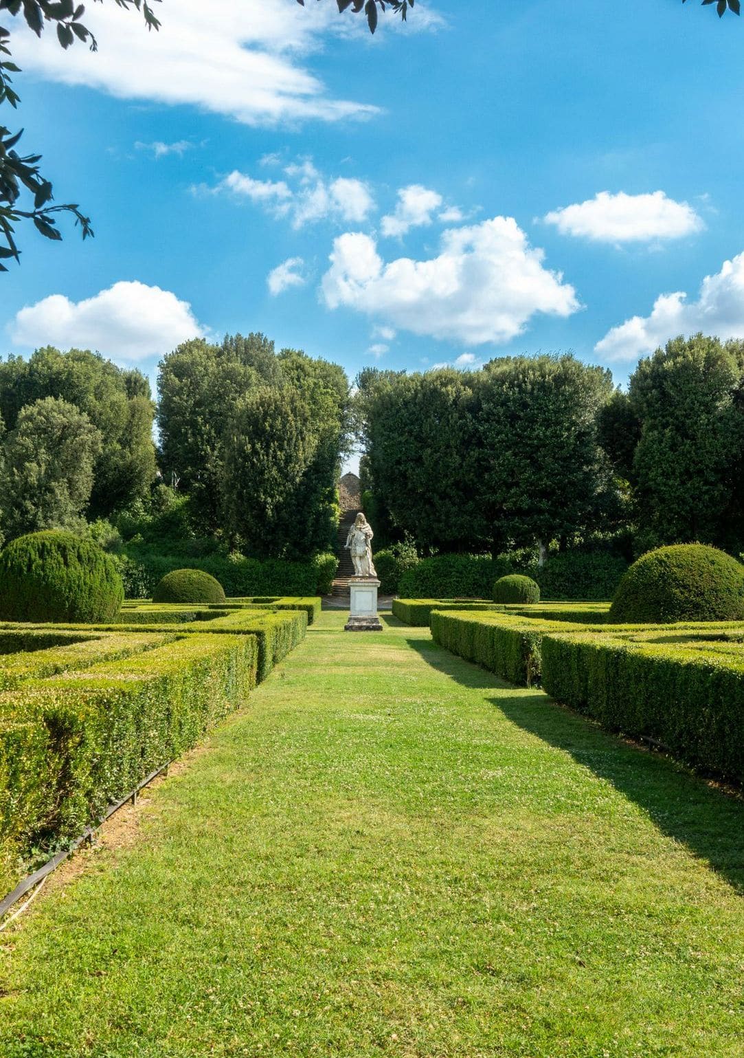 Baum- und Gehölzpflege